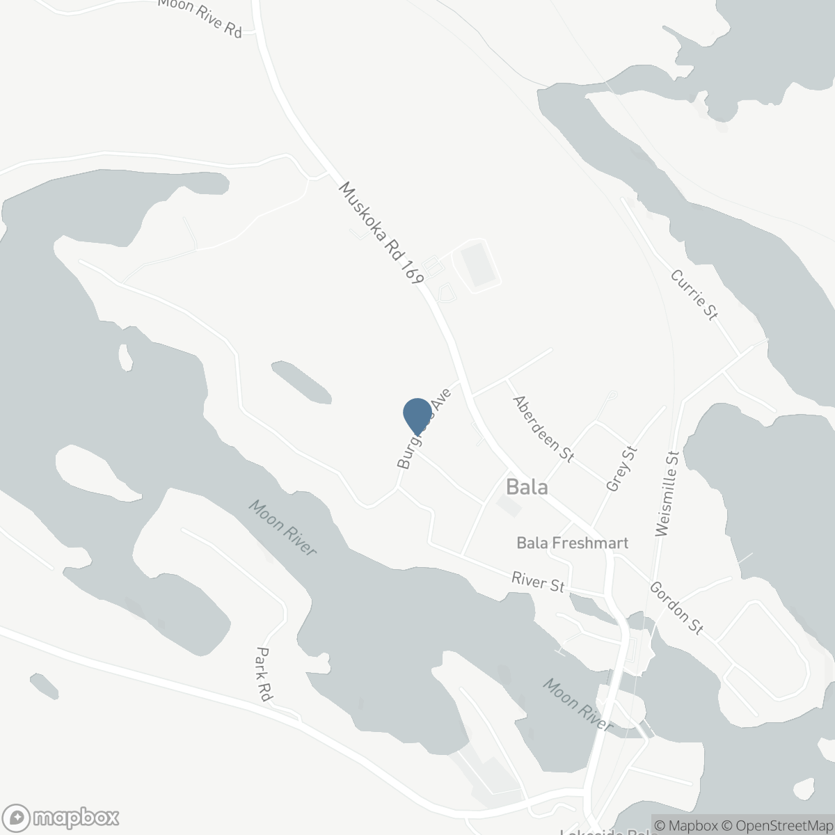 1014A BURGESS AVENUE, Bala, Ontario P0C 1A0
